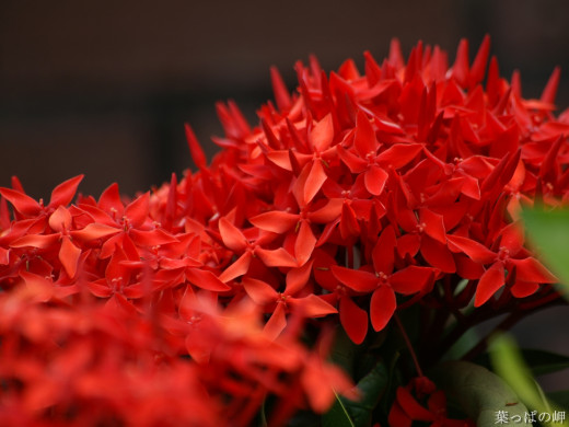 426770 (a): :1600x1200